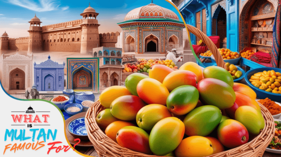 MuxBerry.Pk | Bringing Multan's Heritage to Your Doorstep 12 What is Multan Pakistan Famous For?